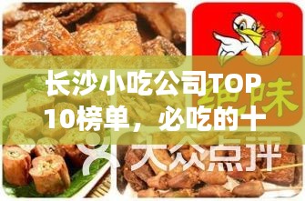 公司简介 第12页