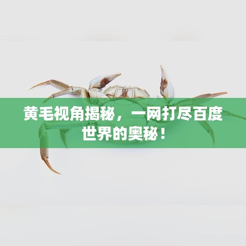 产品展示 第10页