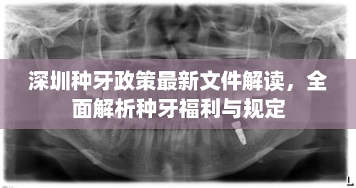 资料大全 第8页