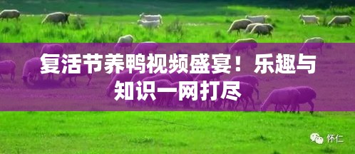 新闻中心 第6页