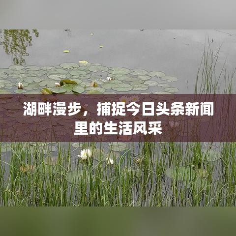 新闻中心 第3页