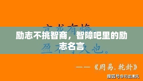 励志不挑智商，智障吧里的励志名言