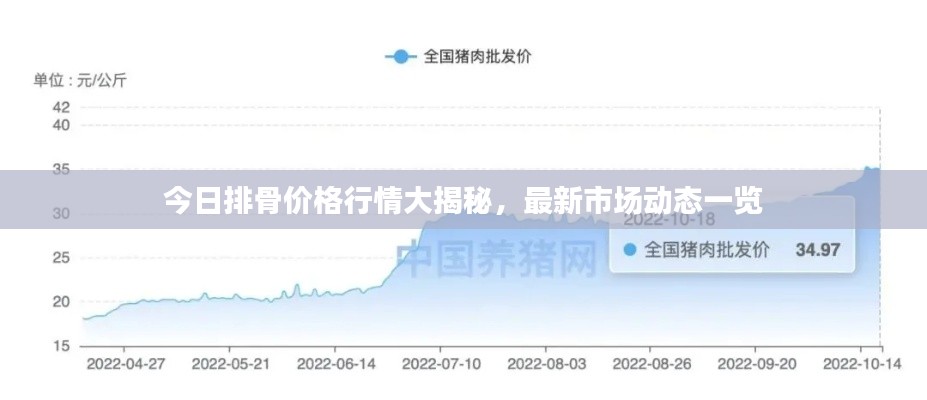 今日排骨价格行情大揭秘，最新市场动态一览