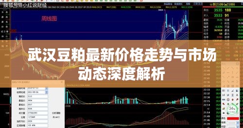 武汉豆粕最新价格走势与市场动态深度解析