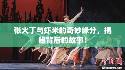 张火丁与虾米的奇妙缘分，揭秘背后的故事！