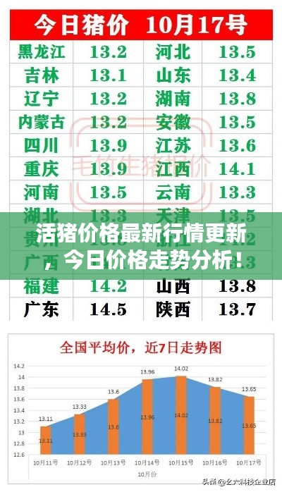 活猪价格最新行情更新，今日价格走势分析！