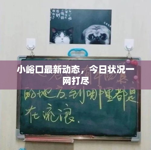 小峪口最新动态，今日状况一网打尽