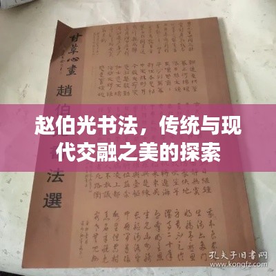 赵伯光书法，传统与现代交融之美的探索