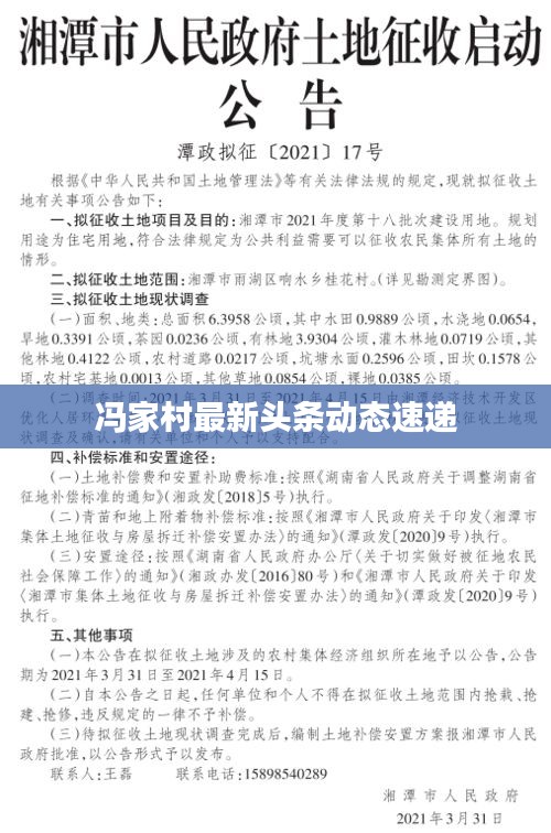 冯家村最新头条动态速递