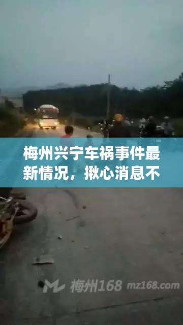 梅州兴宁车祸事件最新情况，揪心消息不断更新