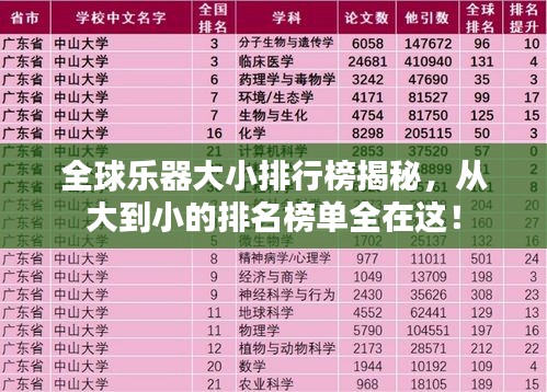 全球乐器大小排行榜揭秘，从大到小的排名榜单全在这！