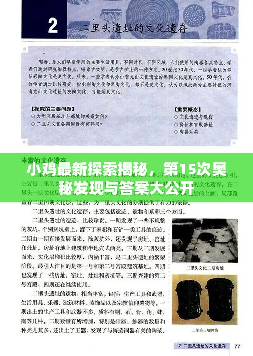 小鸡最新探索揭秘，第15次奥秘发现与答案大公开