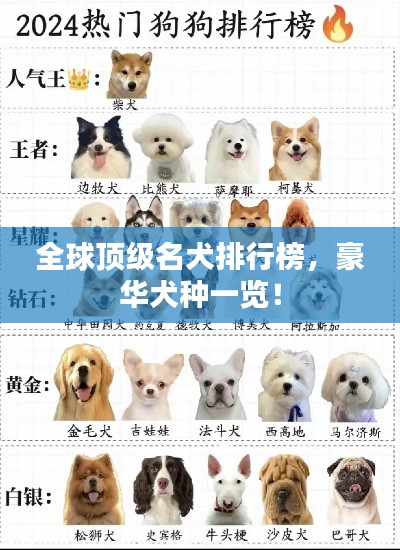 全球顶级名犬排行榜，豪华犬种一览！