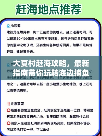 大夏村赶海攻略，最新指南带你玩转海边捕鱼！