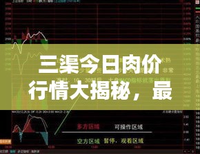 三渠今日肉价行情大揭秘，最新价格走势一网打尽！