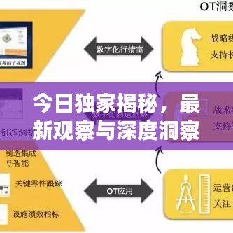 今日独家揭秘，最新观察与深度洞察的真相