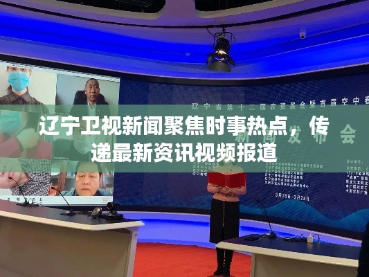 辽宁卫视新闻聚焦时事热点，传递最新资讯视频报道