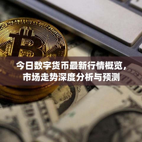 今日数字货币最新行情概览，市场走势深度分析与预测