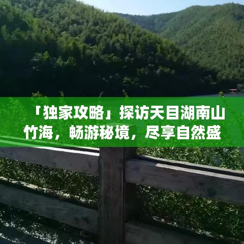 「独家攻略」探访天目湖南山竹海，畅游秘境，尽享自然盛宴！