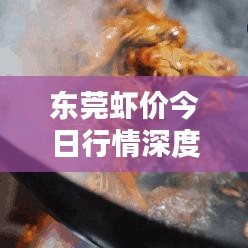 东莞虾价今日行情深度解析