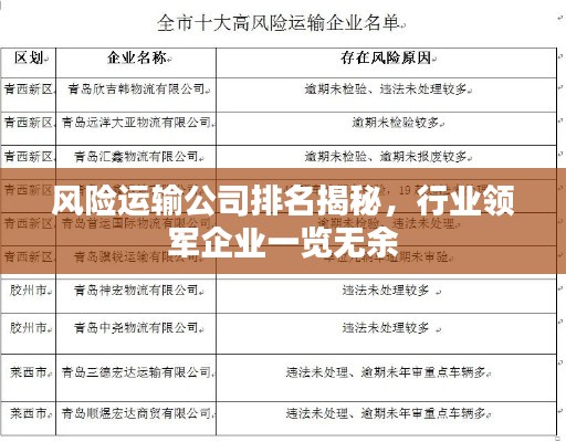 风险运输公司排名揭秘，行业领军企业一览无余