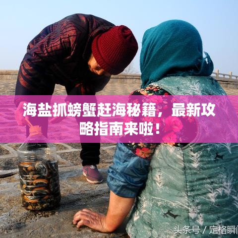 海盐抓螃蟹赶海秘籍，最新攻略指南来啦！