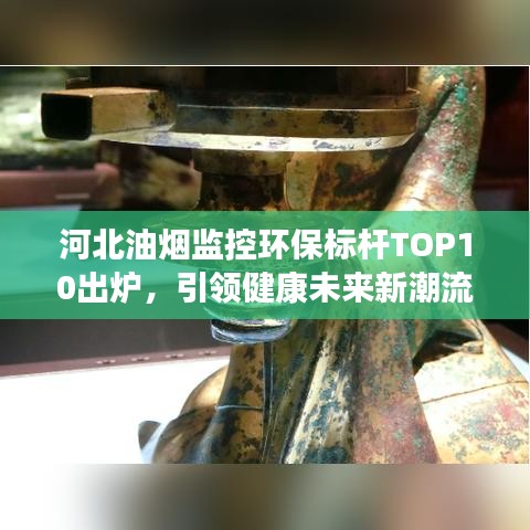 河北油烟监控环保标杆TOP10出炉，引领健康未来新潮流