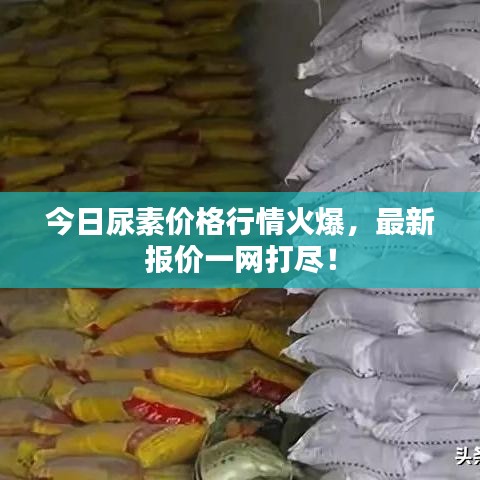 今日尿素价格行情火爆，最新报价一网打尽！