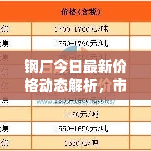 钢厂今日最新价格动态解析，市场走势深度分析