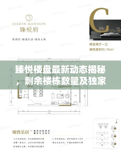 臻悦楼盘最新动态揭秘，剩余楼栋数量及独家消息速递