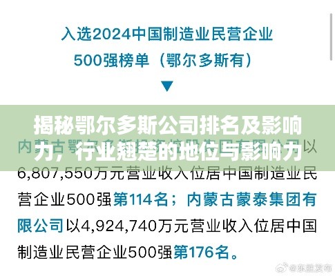 揭秘鄂尔多斯公司排名及影响力，行业翘楚的地位与影响力解析