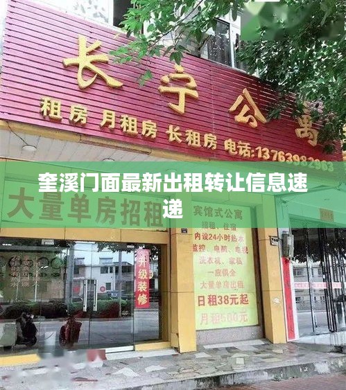 奎溪门面最新出租转让信息速递